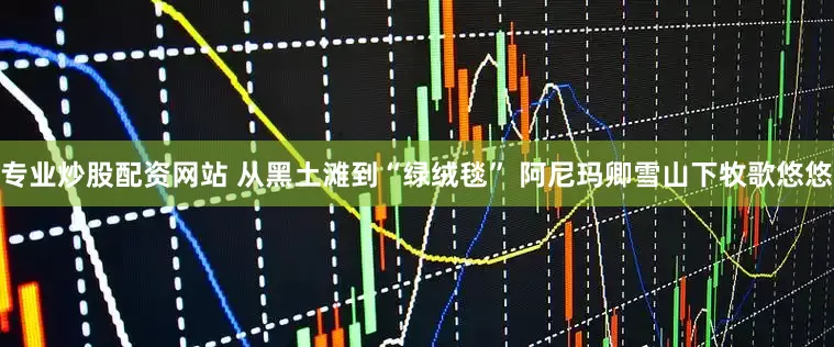 专业炒股配资网站 从黑土滩到“绿绒毯” 阿尼玛卿雪山下牧歌悠悠