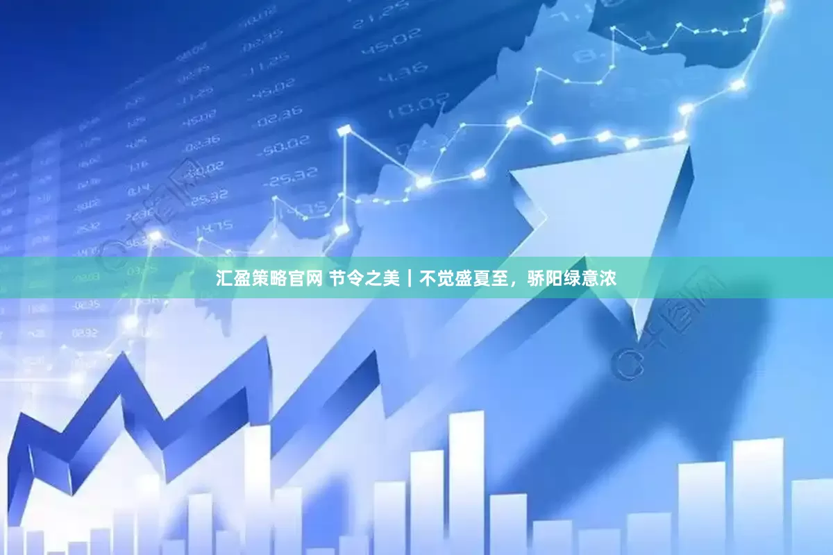汇盈策略官网 节令之美｜不觉盛夏至，骄阳绿意浓