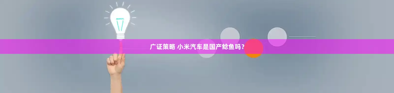 广证策略 小米汽车是国产鲶鱼吗？