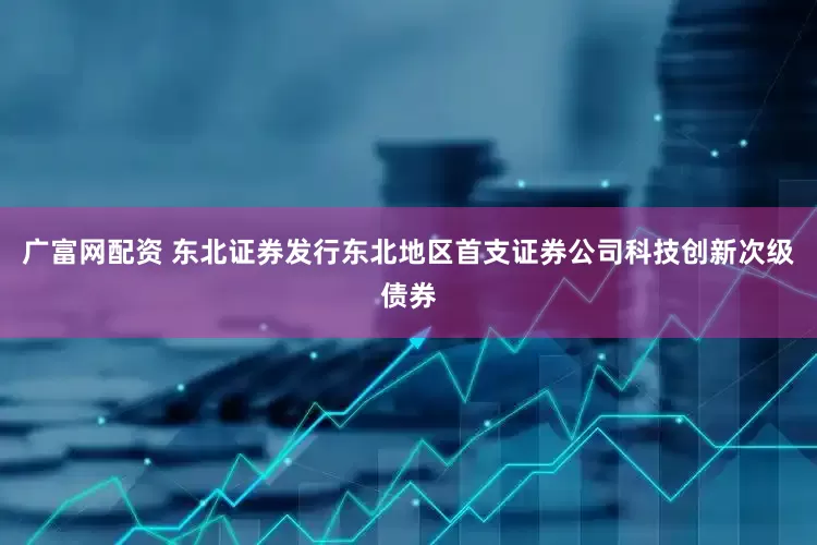 广富网配资 东北证券发行东北地区首支证券公司科技创新次级债券