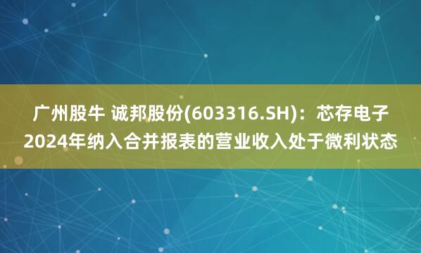 广州股牛 诚邦股份(603316.SH)：芯存电子2024年纳入合并报表的营业收入处于微利状态